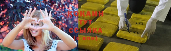 гидра Арсеньев