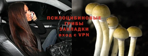 трава Армянск