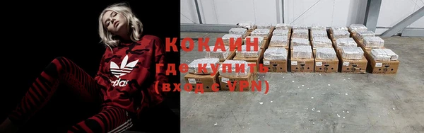 гидра Арсеньев