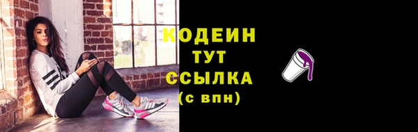 гидра Арсеньев