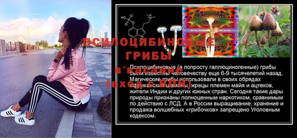 гидра Арсеньев