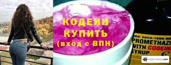 гидра Арсеньев