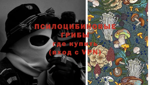 хмурый Наволоки