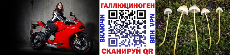blacksprut tor  Саратов  Галлюциногенные грибы прущие грибы 